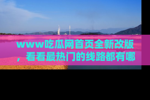 www吃瓜网首页全新改版，看看最热门的线路都有哪些！