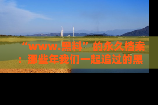 “www.黑料”的永久档案:那些年我们一起追过的黑料真相