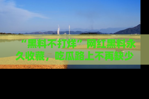 “黑料不打烊”网红黑料永久收藏,吃瓜路上不再缺少惊喜与乐趣