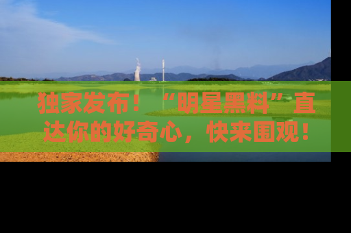 独家发布！“明星黑料”直达你的好奇心，快来围观！