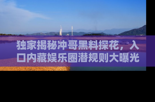 独家揭秘冲哥黑料探花，入口内藏娱乐圈潜规则大曝光
