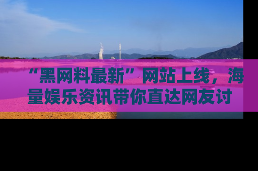 “黑网料最新”网站上线,海量娱乐资讯带你直达网友讨论的中心!
