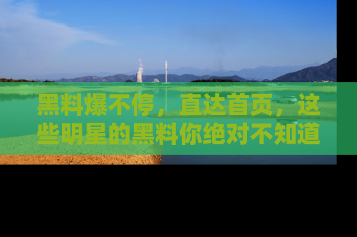 黑料爆不停，直达首页，这些明星的黑料你绝对不知道！