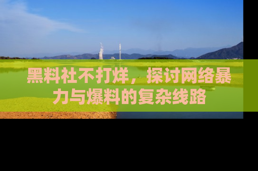黑料社不打烊，探讨网络暴力与爆料的复杂线路