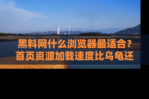黑料网什么浏览器最适合？首页资源加载速度比乌龟还慢的体验真心吐槽！