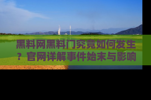 黑料网黑料门究竟如何发生？官网详解事件始末与影响