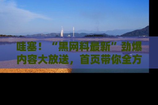 哇塞!“黑网料最新”劲爆内容大放送,首页带你全方位了解哦,小可爱们