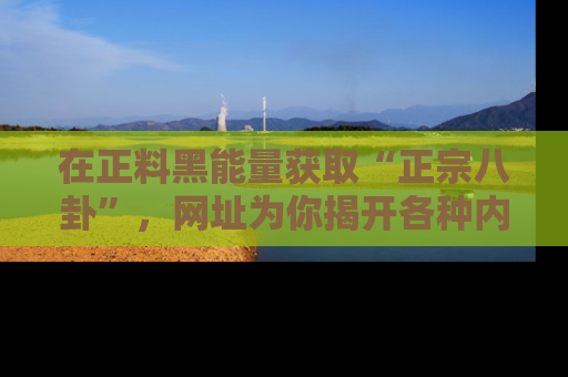 在正料黑能量获取“正宗八卦”,网址为你揭开各种内幕故事!