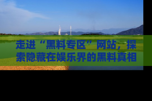 走进“黑料专区”网站，探索隐藏在娱乐界的黑料真相