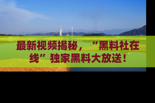 最新视频揭秘,“黑料社在线”独家黑料大放送!